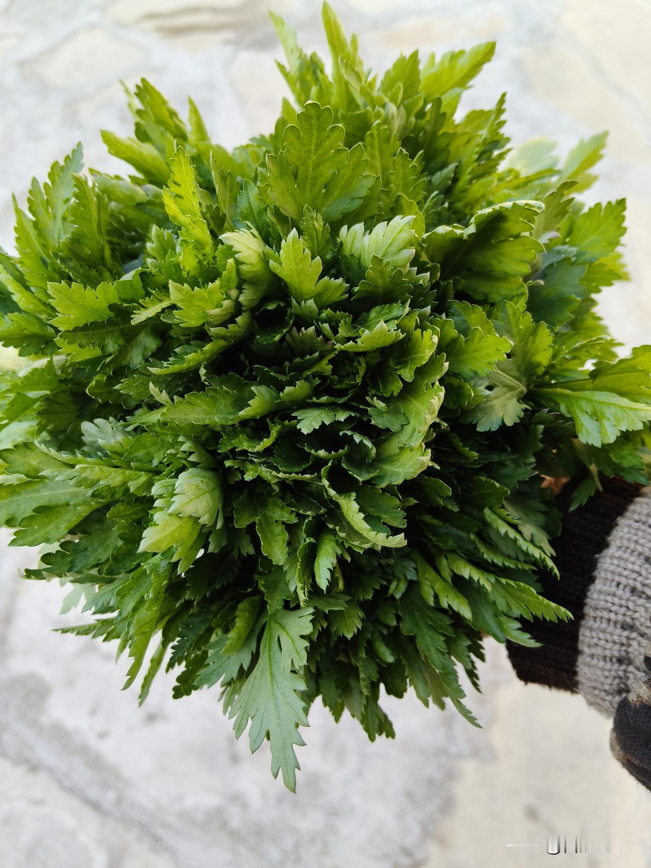 保 健 品又翻 车了！

一款被多位明 星 推 荐的优思益产品，被央 视证明是彻