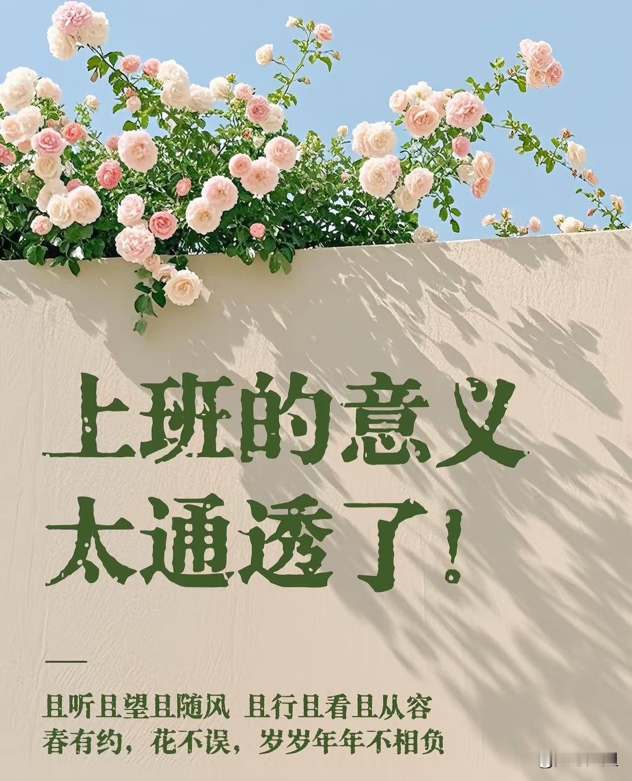 上班久了才知道，
职场被提拔都是有关系、会来事的，
被挤兑走、被边缘化的，
都是