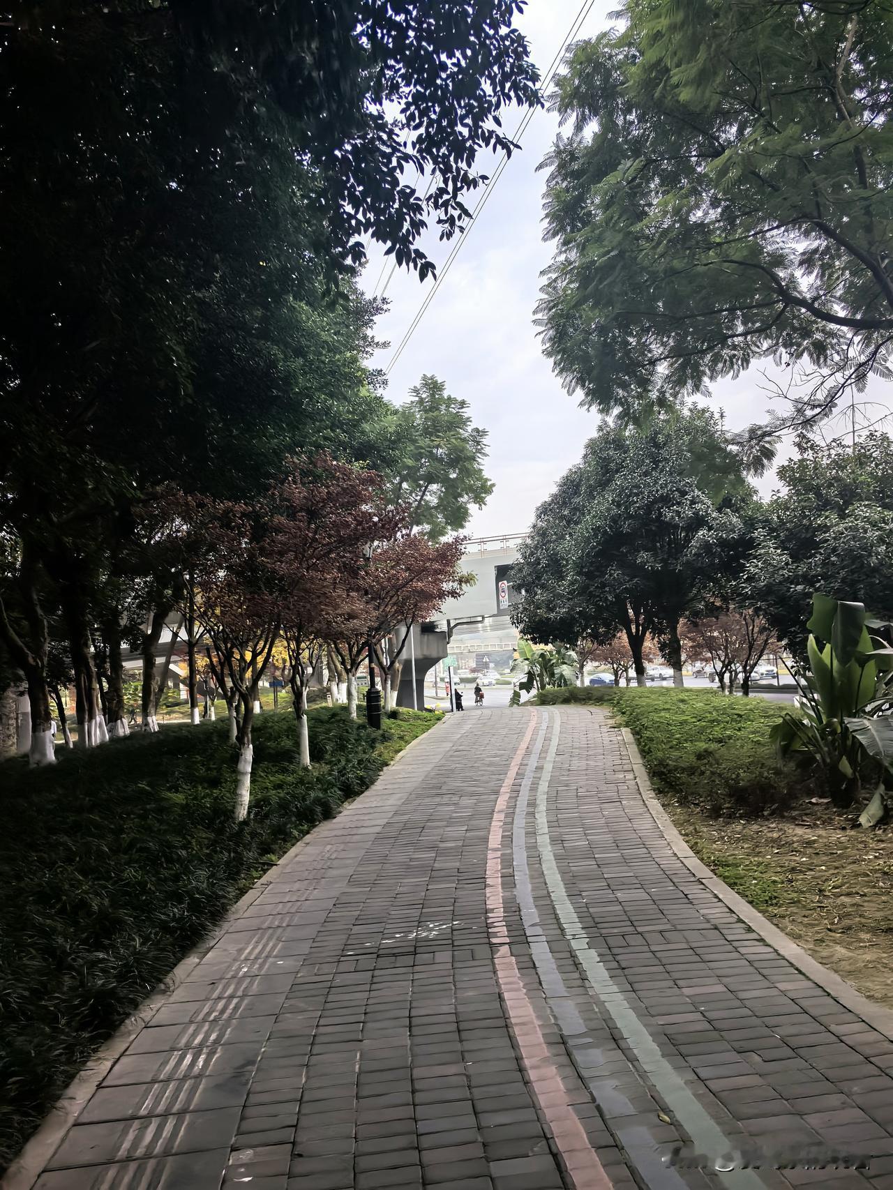 很多人徒步绕城绿道，其实三环绿道也不错啊。