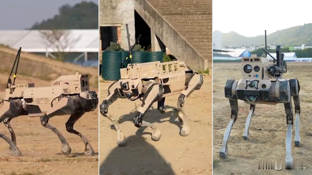 这不是科幻电影，这是中国军工刚刚交出的答卷。

地面，机器狼群“暗影”“浴血”“