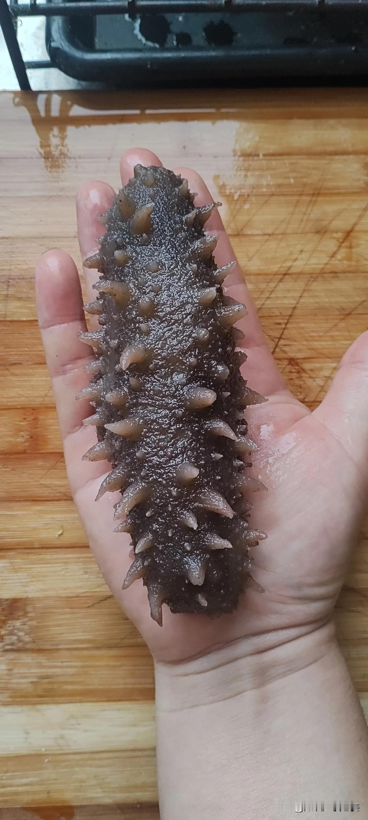 海参还是大的好，肉厚品质好，小孩喜欢吃！海参滋补