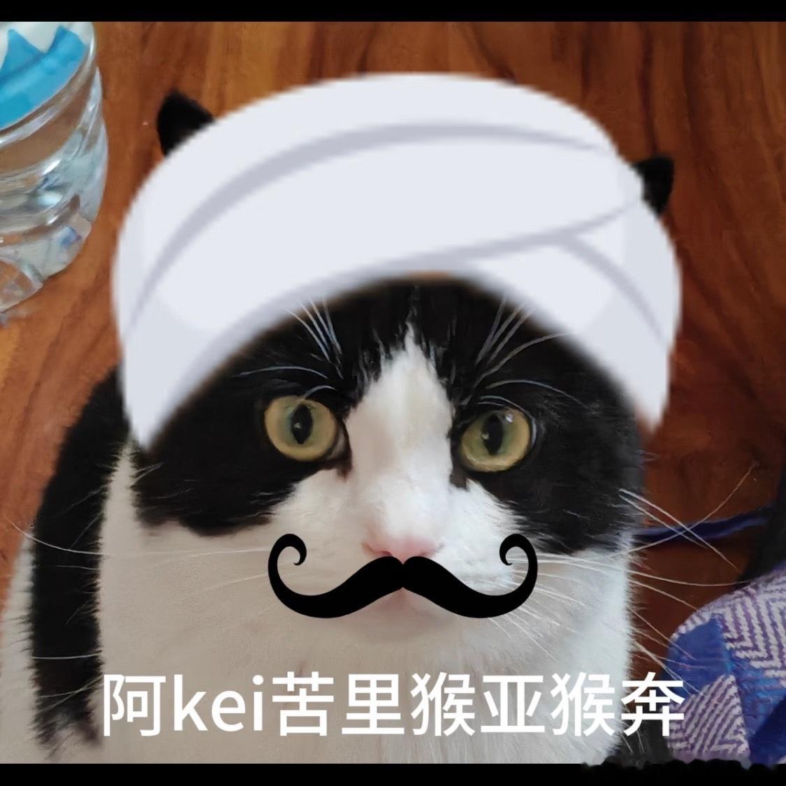 陈楚生 Oner偶练还是太权威了，ONER粉丝被告席，学历不高来内娱就是灾害。 