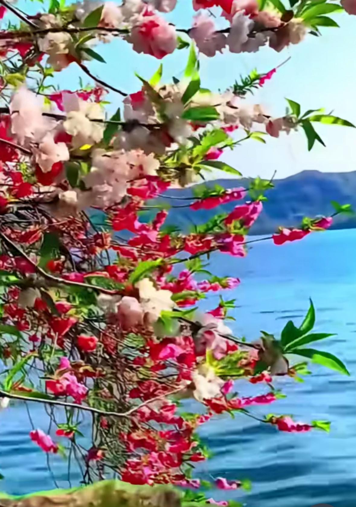 这个小仙女真的矫情，自己脚扭了既然有消防安全员来帮助，自己也应该配合，怎么在光天