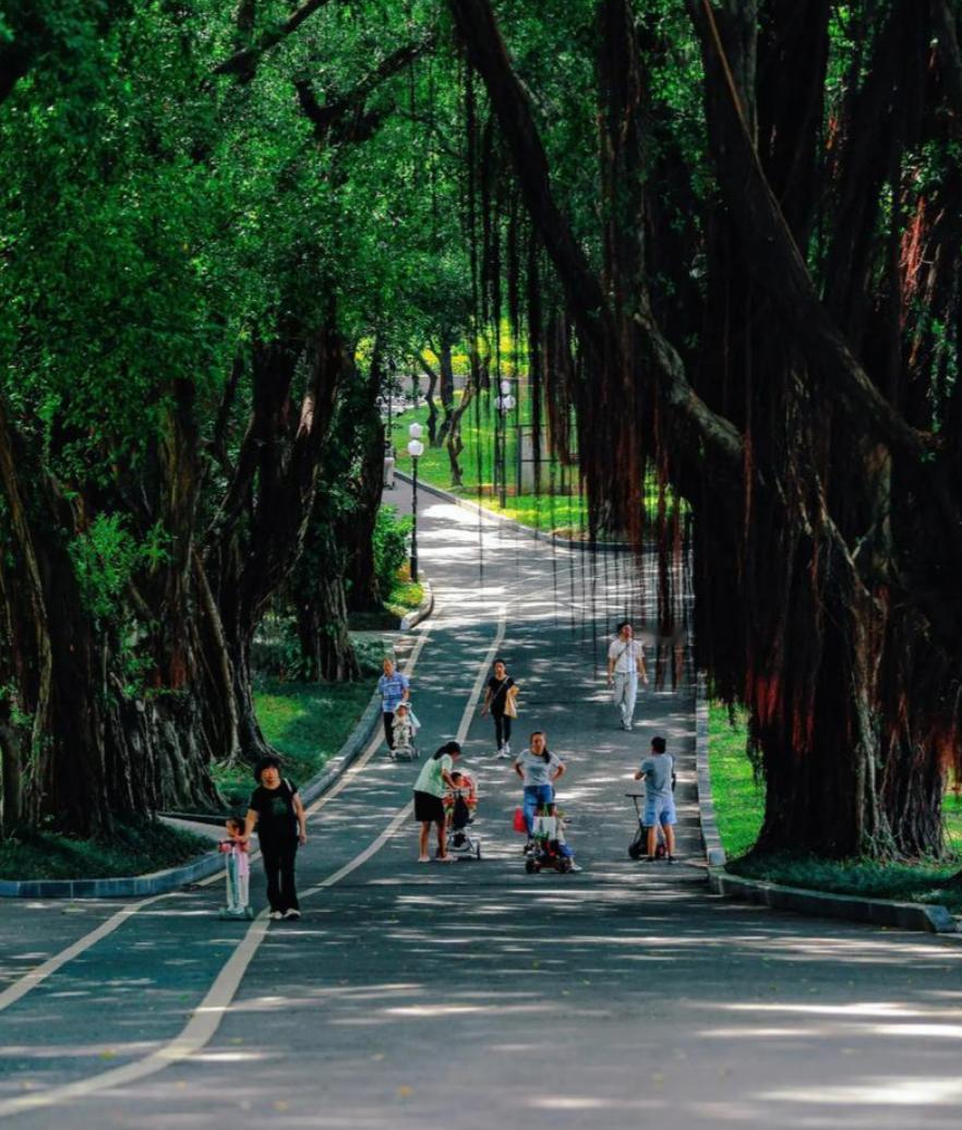 北方的学子到南方上学真的会狂躁、郁闷吗？

今天看到网友写的一首诗：十六别随州，