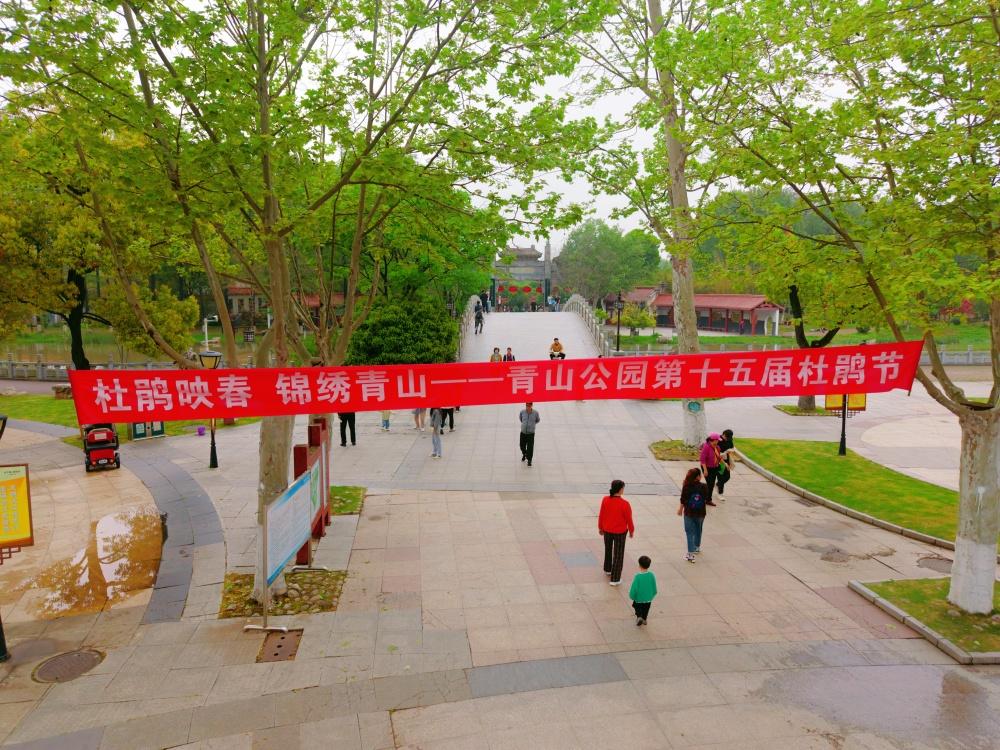 【杜鹃映春 锦绣青山——青山公园第十五届杜鹃节开幕】由青山区城市管理执法局主办，