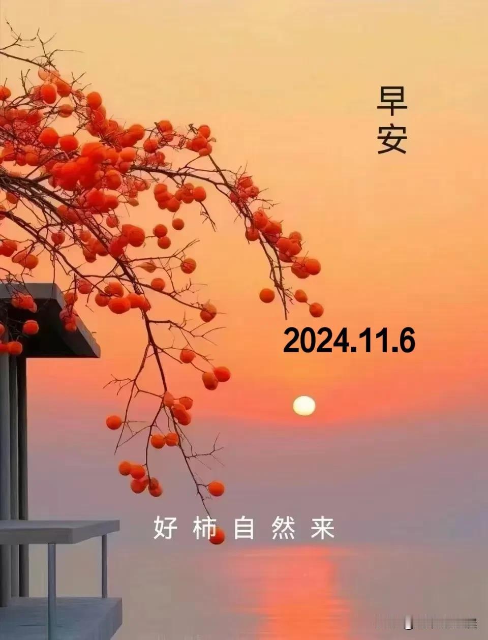 2024.11.6  农历甲辰年十月初六，周三【🌹每日心语】
岁月悠悠，带着深