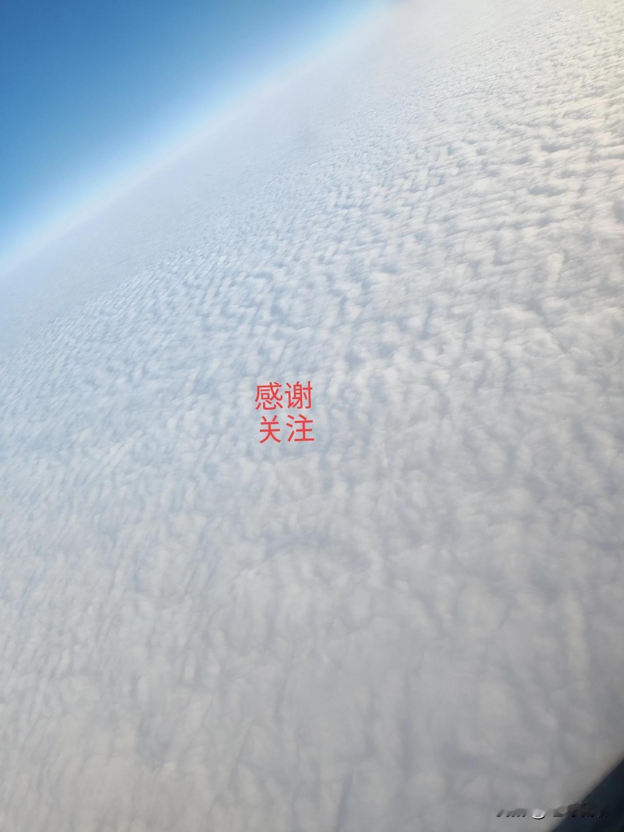 英语中“固定名字多”的核心原因，是其名字体系长期受 文化传统、宗教影响和社会规范