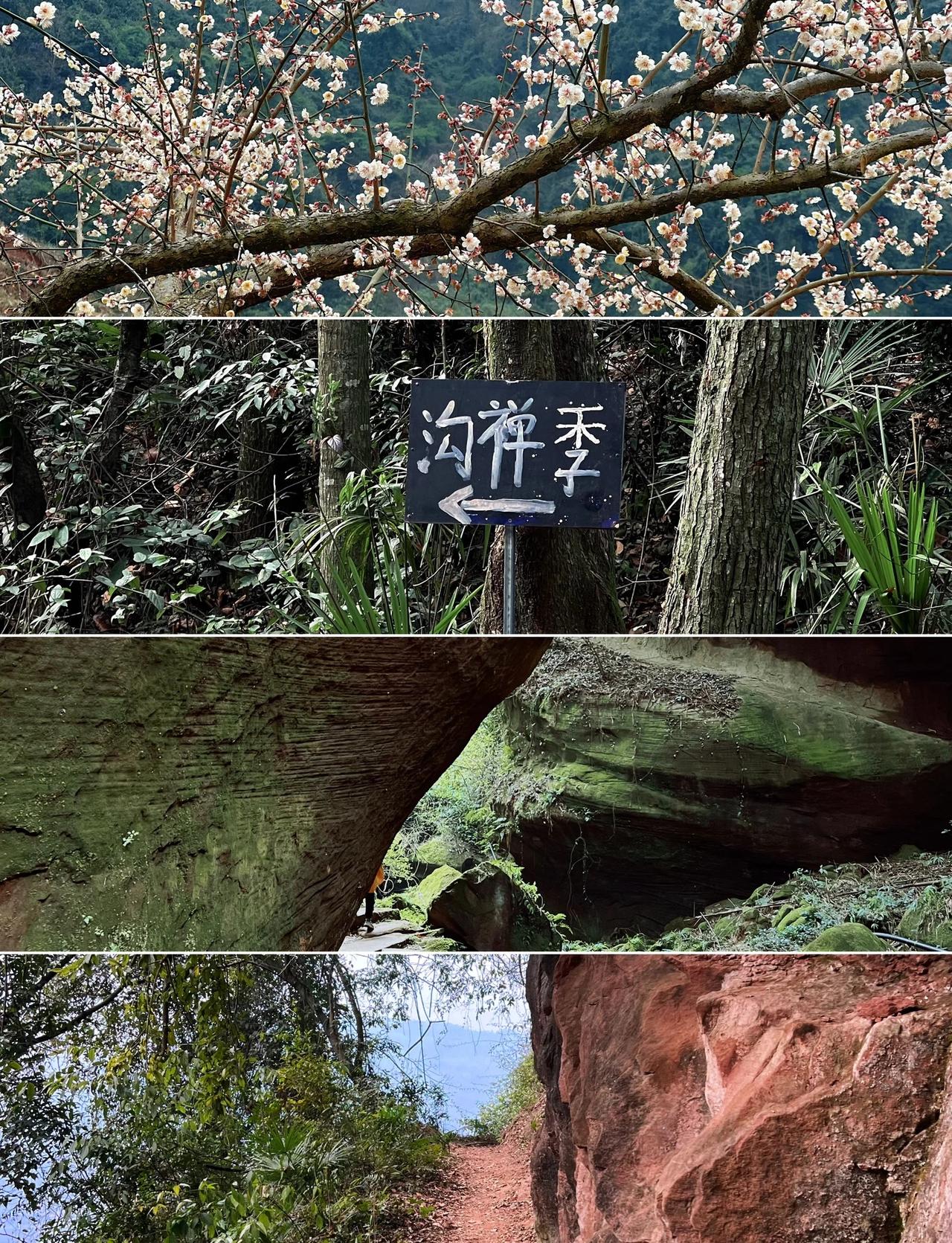 新年第一山｜成都周边人文徒步好去处👏
⛰️大邑季禅沟
📍导航：季禅沟，在青梅