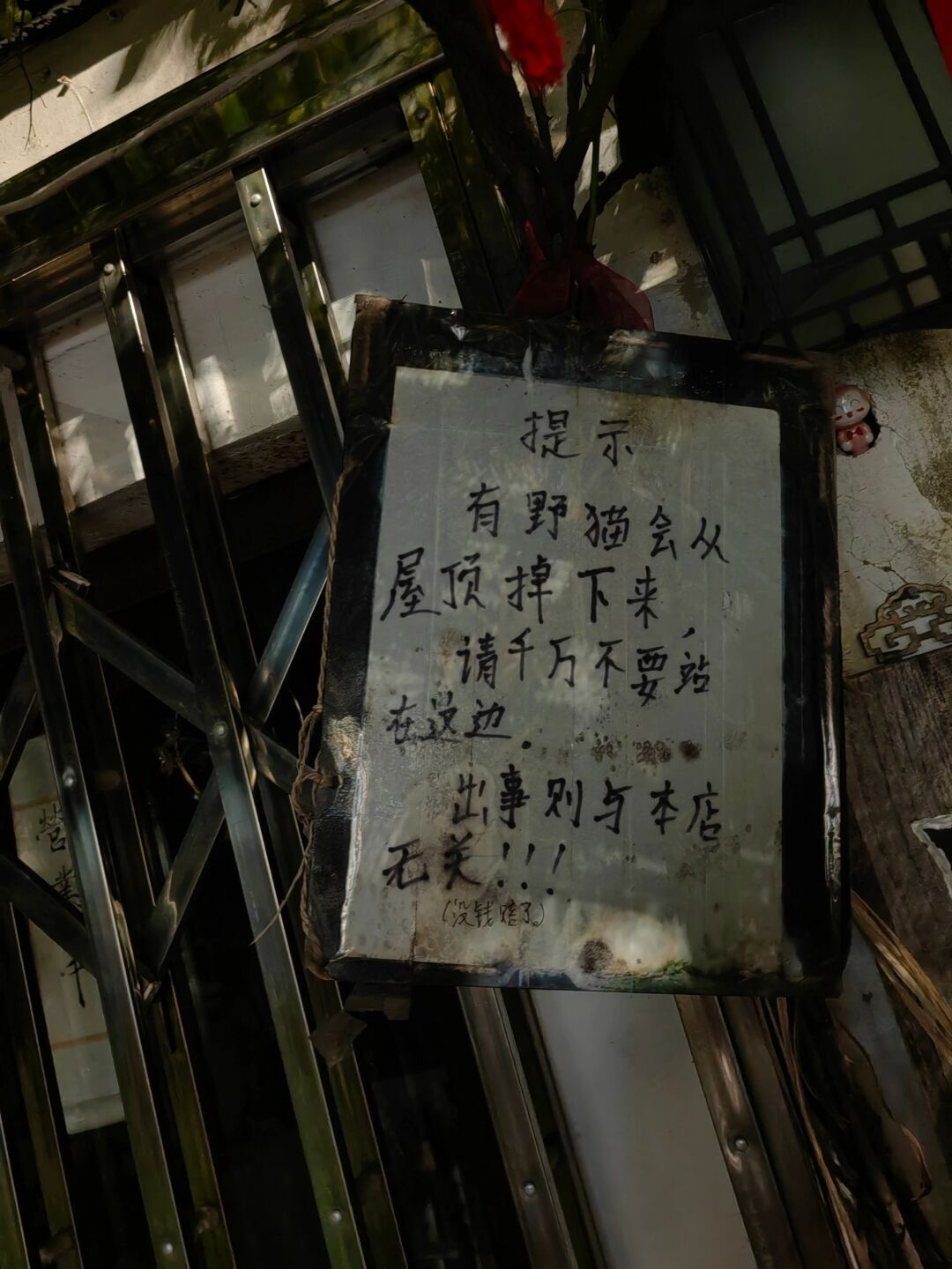 走在路上随机掉落一只小野猫[开学季] ​​​
