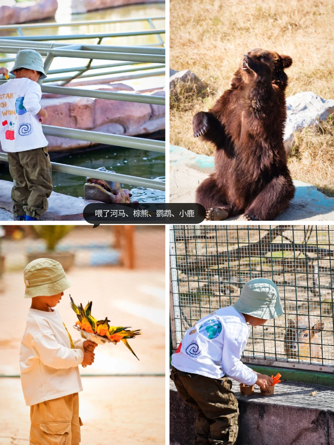 带娃玩遍动物园🦒山东泉城版疯狂动物城