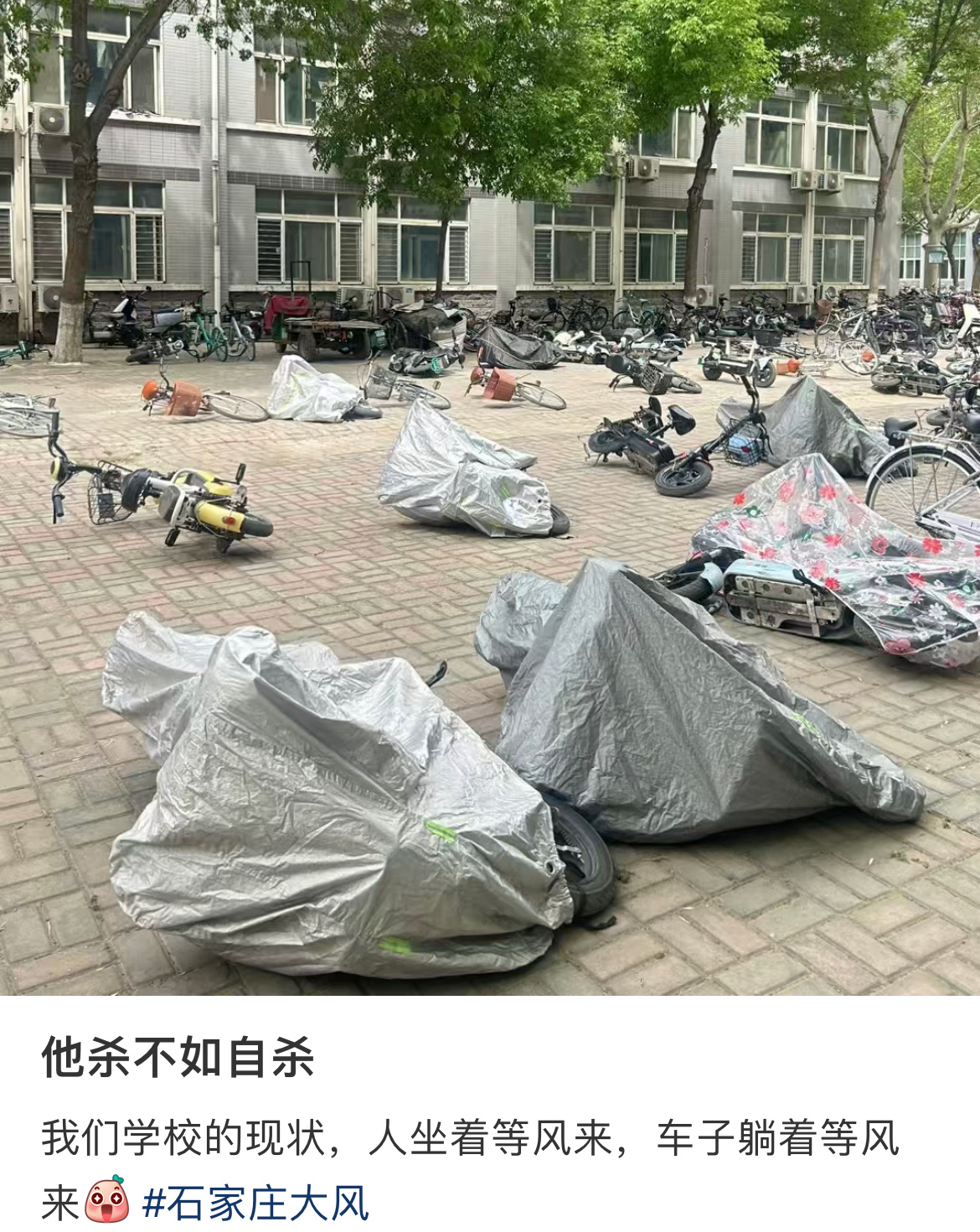 车子躺着等风来[哆啦A梦害怕] ​​​