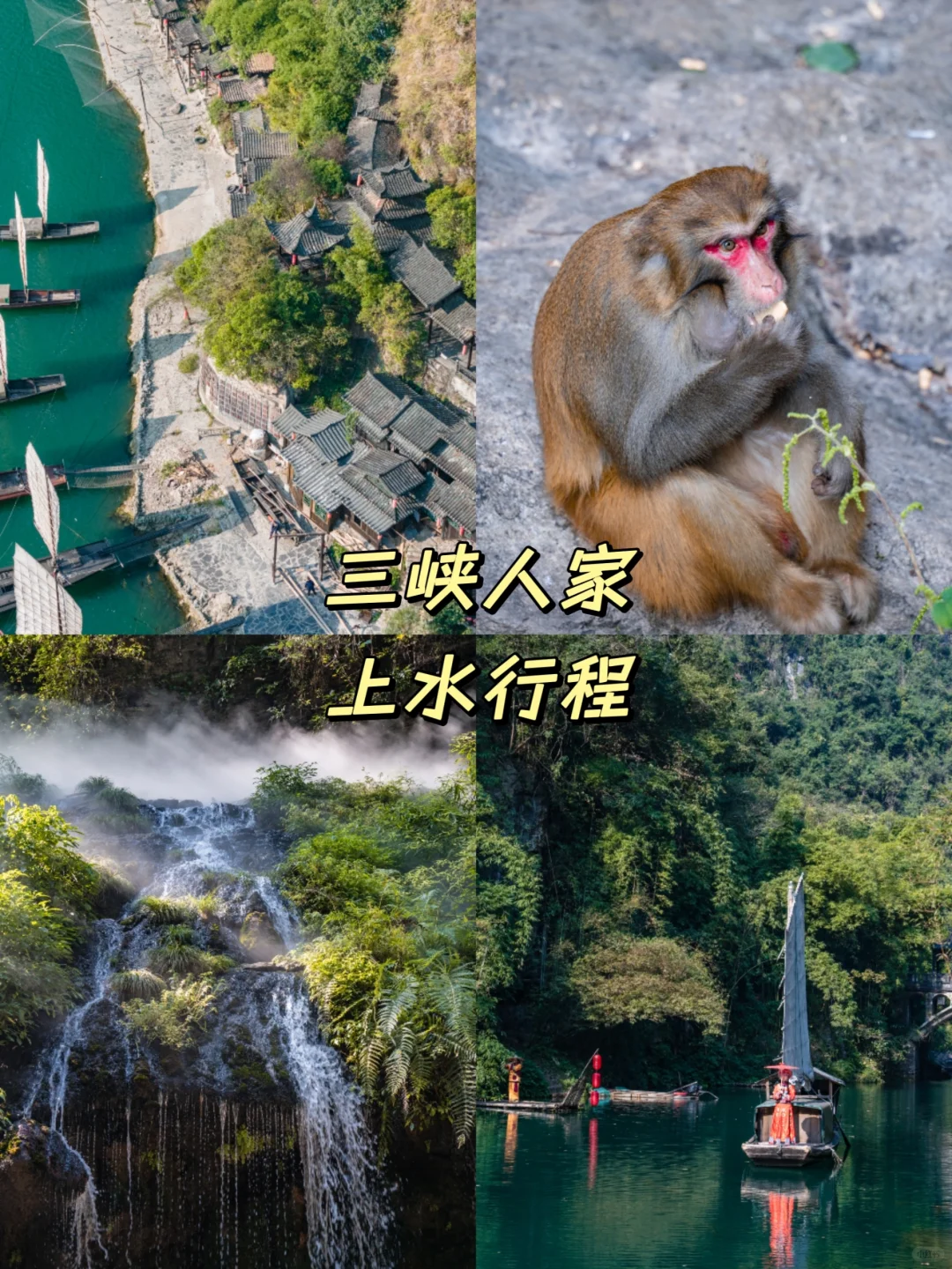 三峡最美的季节来了！上水or下水怎么选？
