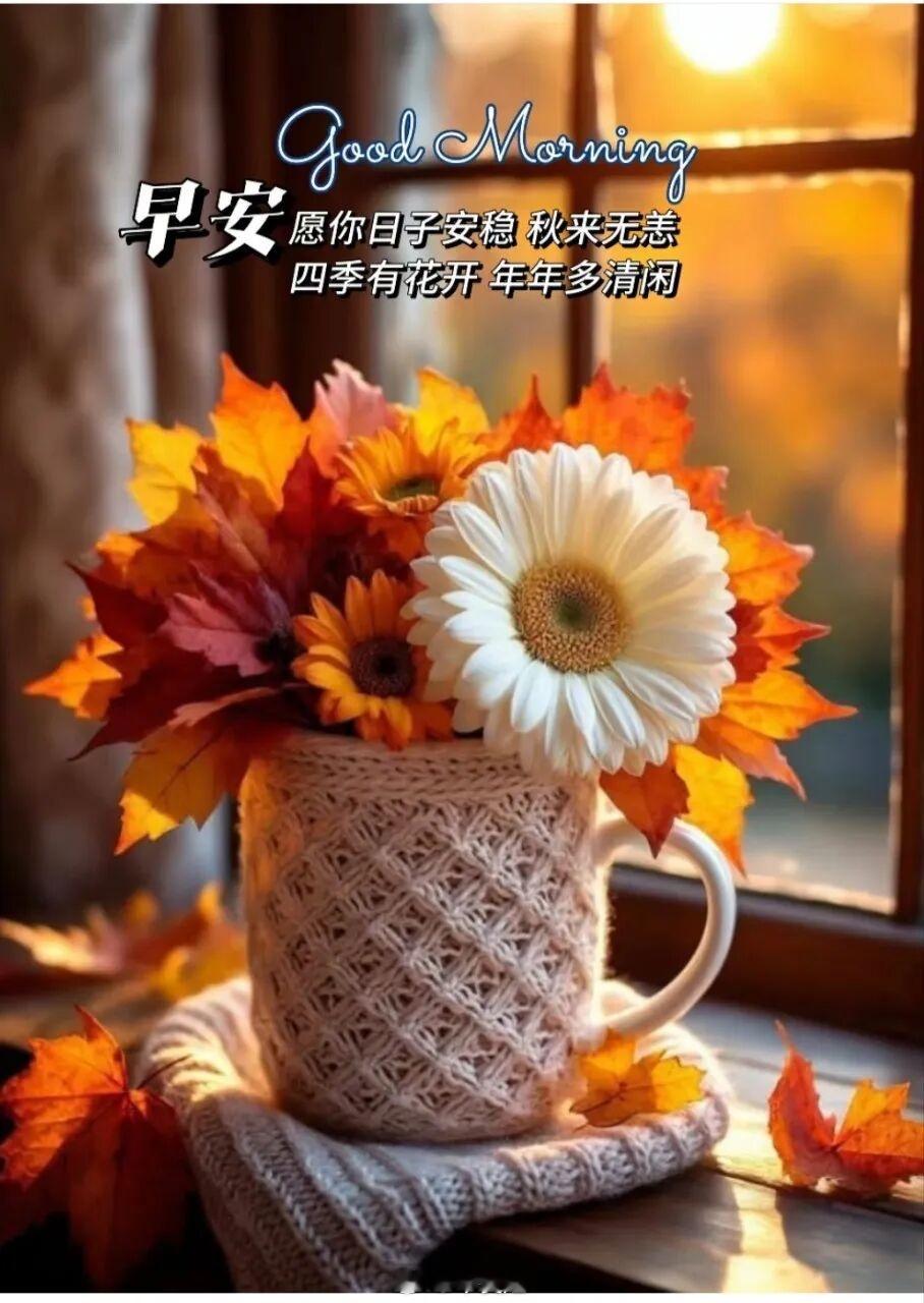 刚才闹钟叫，我想赶紧关上，想着别吵醒宝宝。可是宝宝也听到了闹钟响，马上要我抱着他