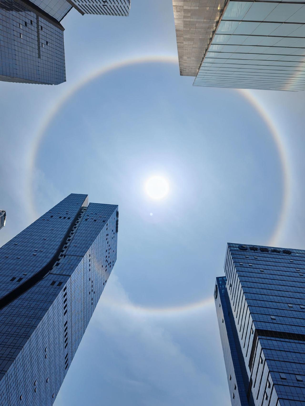 今日份惊喜，是深圳天空日晕给的#深圳日晕 #日晕奇观 #深圳 #深圳天空