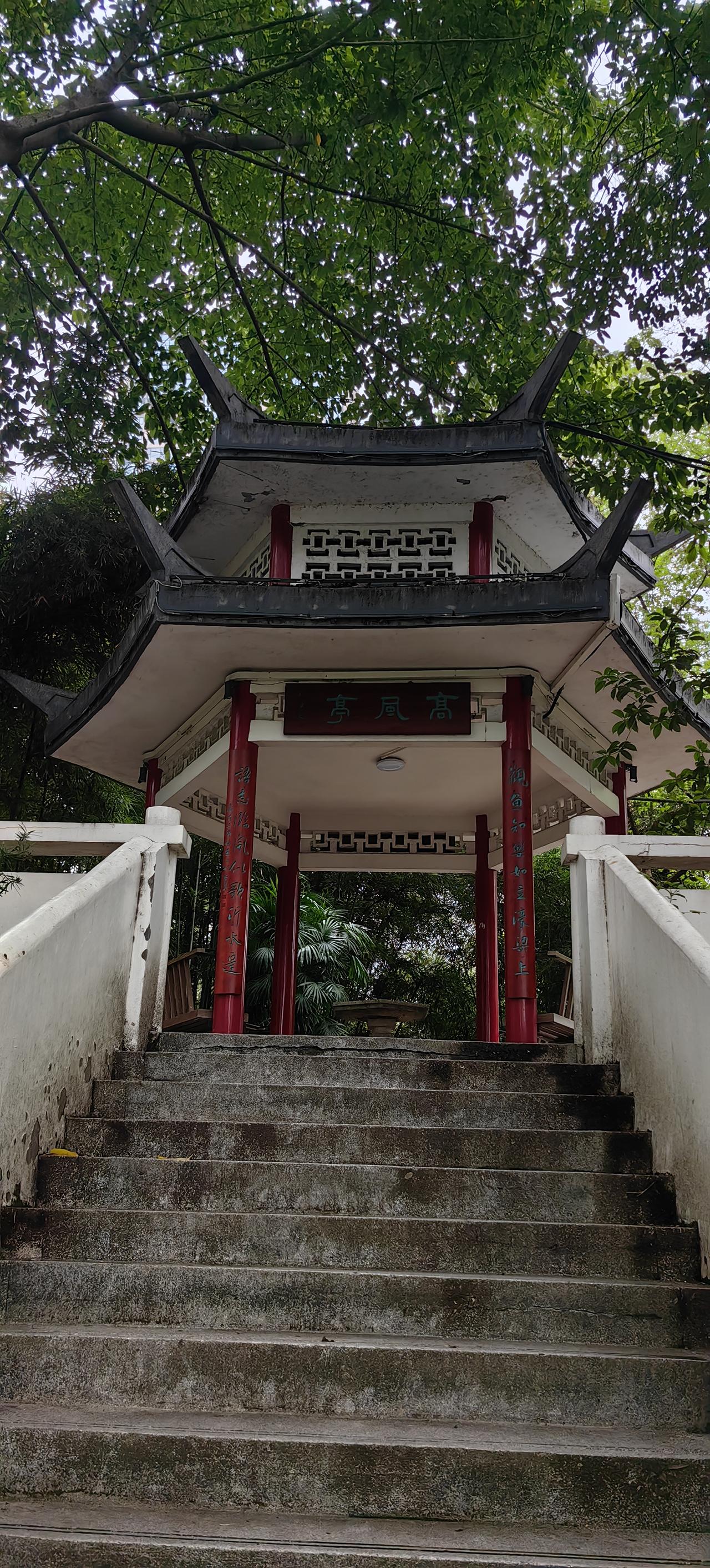 我在重庆大渡口公园逛了快20年，今天突然发现——竟然有个叫“高风亭”的地方，一次