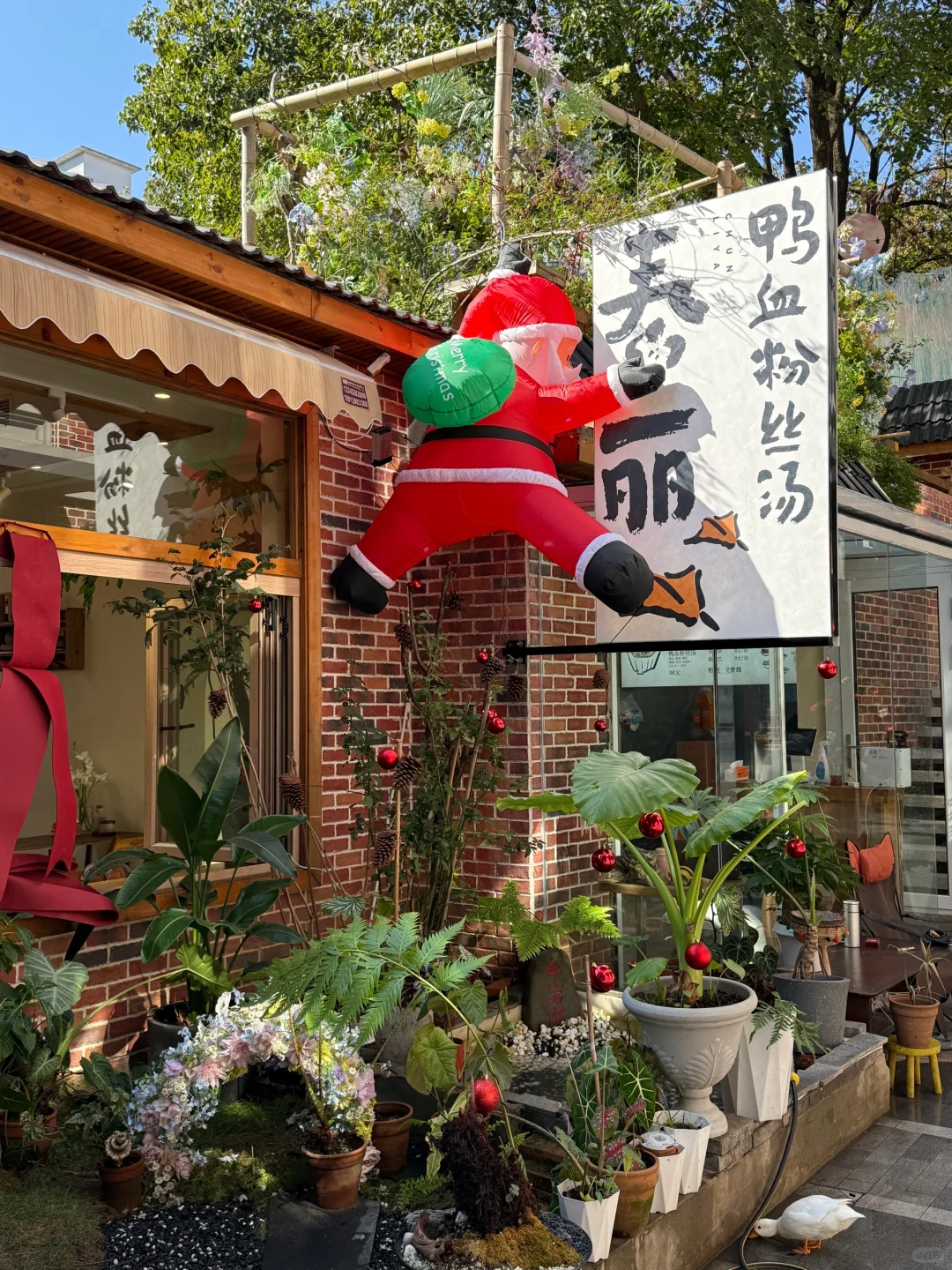 南京下一个顶流拍照打卡点！plmm必看