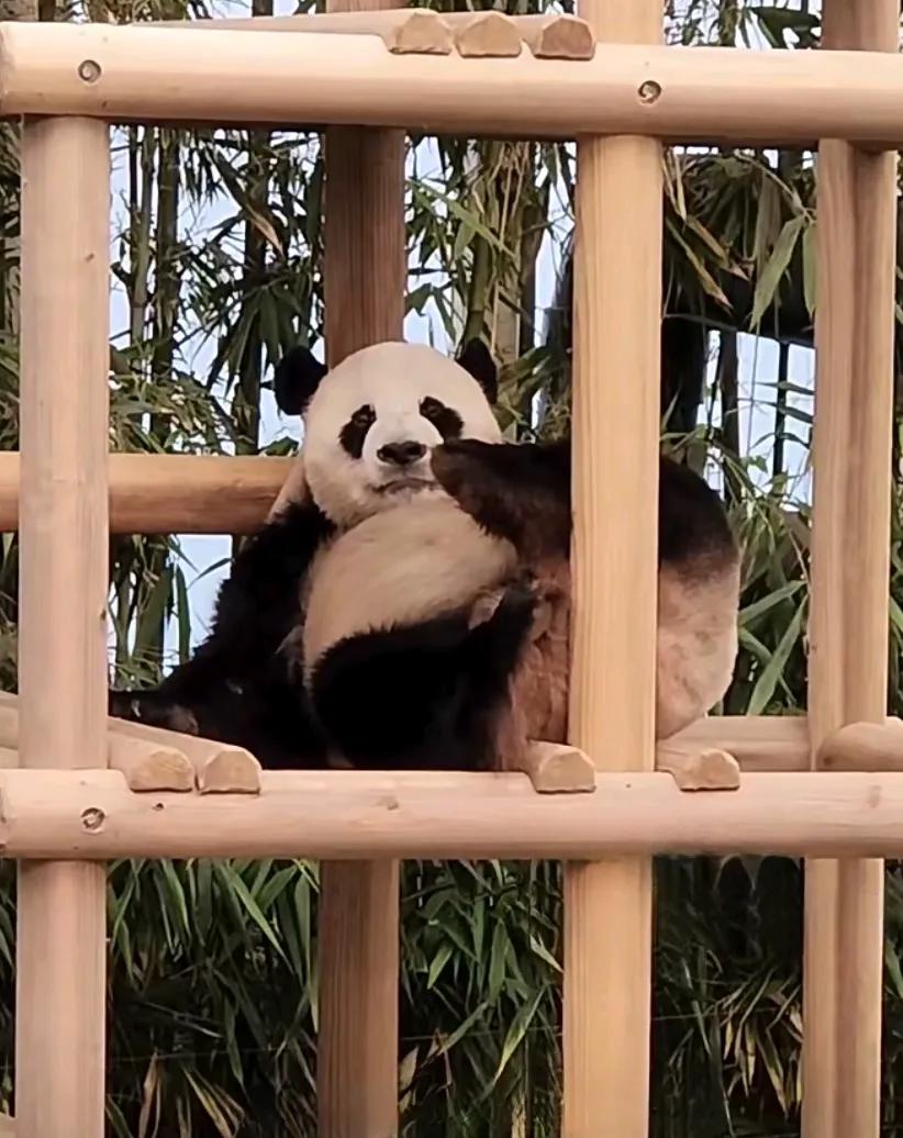 创造了无数个医学奇迹的乐大爷[what][what][what]
一个像极了地主