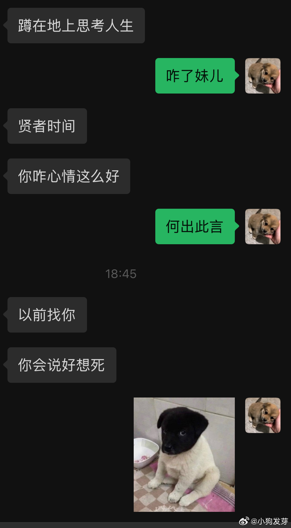 我就不能有一天是想活的吗 