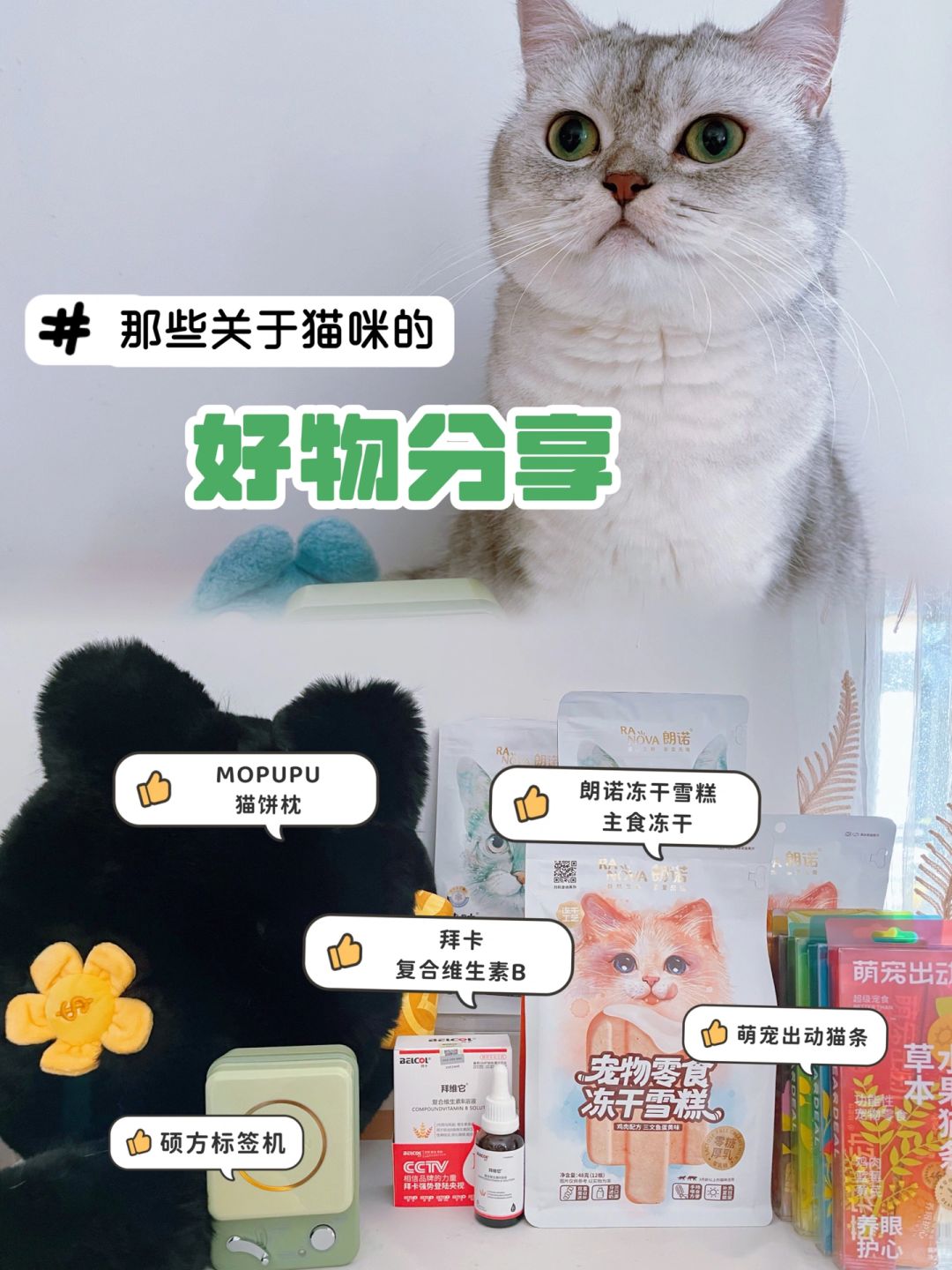 好物分享｜精致猫咪的生活是怎么样的？