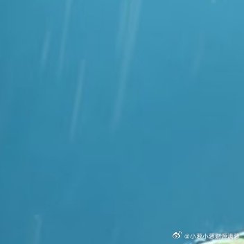 不必强迫自己时刻坚强，允许自己偶尔崩溃，又慢慢自愈。就像植物在风雨后依然向阳生长