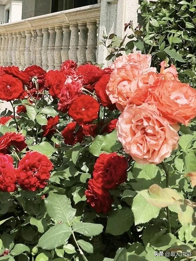 又是美好的一天！
一路同行，一路回望，
友友谊终生难忘。

回味昨日友谊，
满载