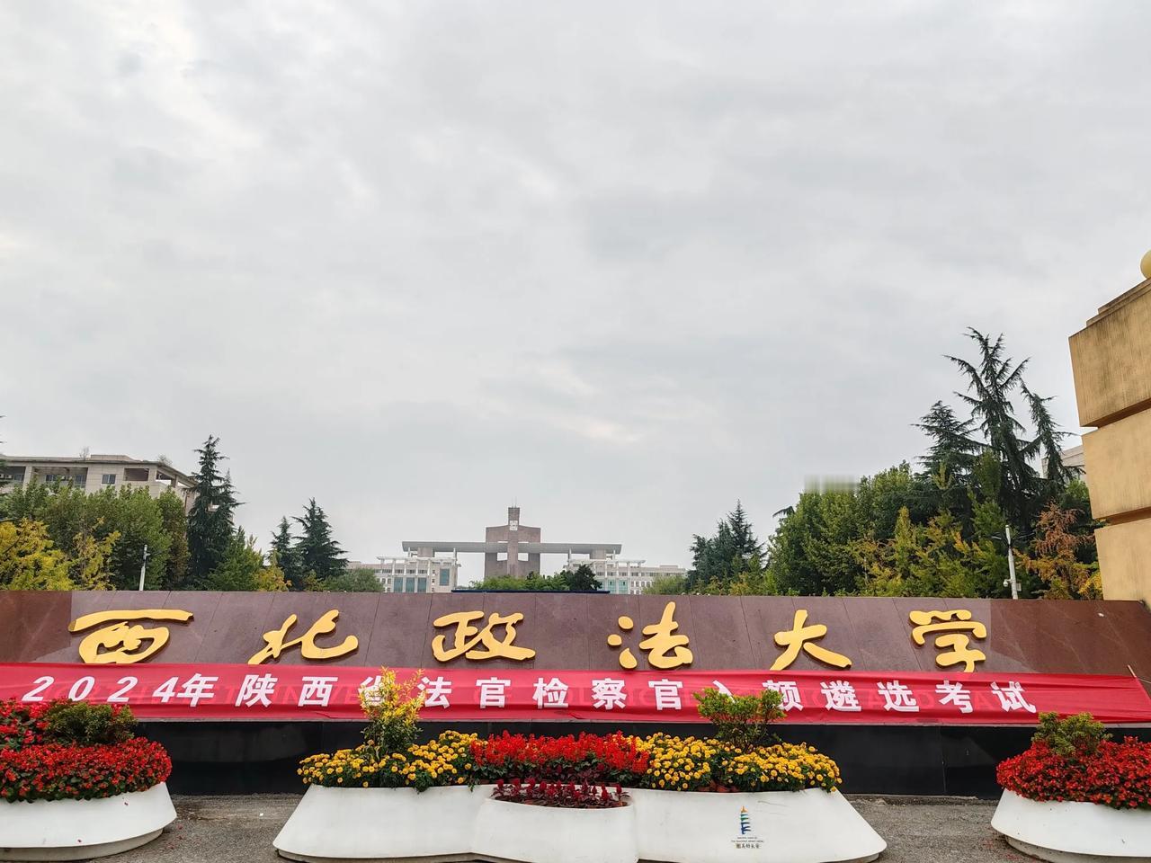 终于赶上了返京的列车。这个中心有我们最美好的青春记忆。一天的活动，内容很丰富，也