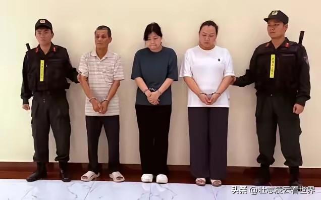 一家人精心策划全套造假伪装，潜伏越南电力招标市场整整三年，
悄无声息拿下三十多个