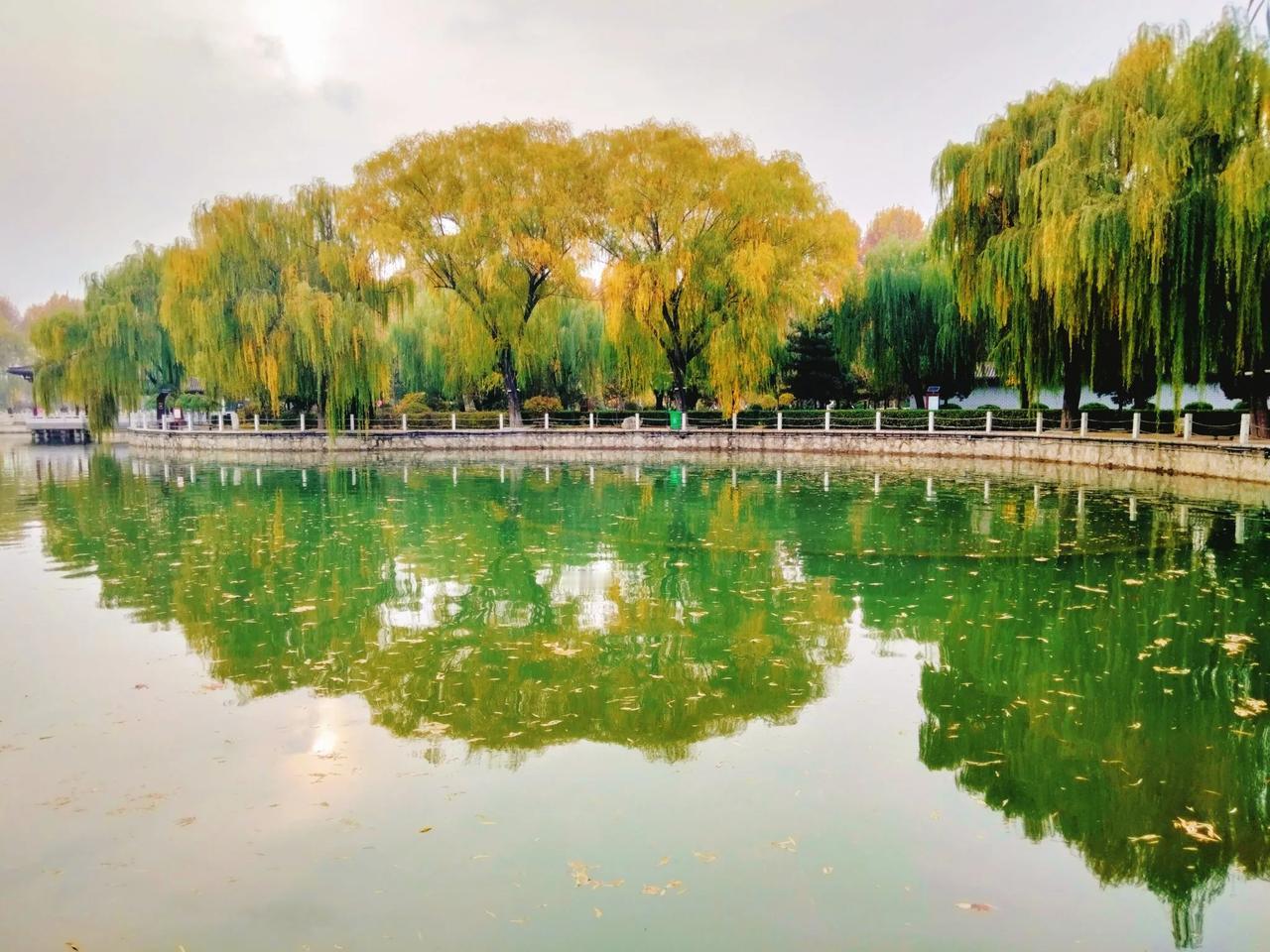 过去不去，未来不来。

一抹鹅黄柳叶，不知多少秋声。

小雪时节不见雪。

对秋