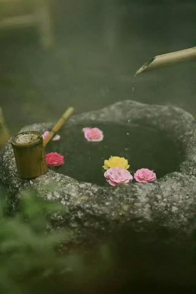 清醒地活着，不讨好谁，不勉强谁，不纠缠谁，守住自己的节奏，温柔而坚定，清醒而自在