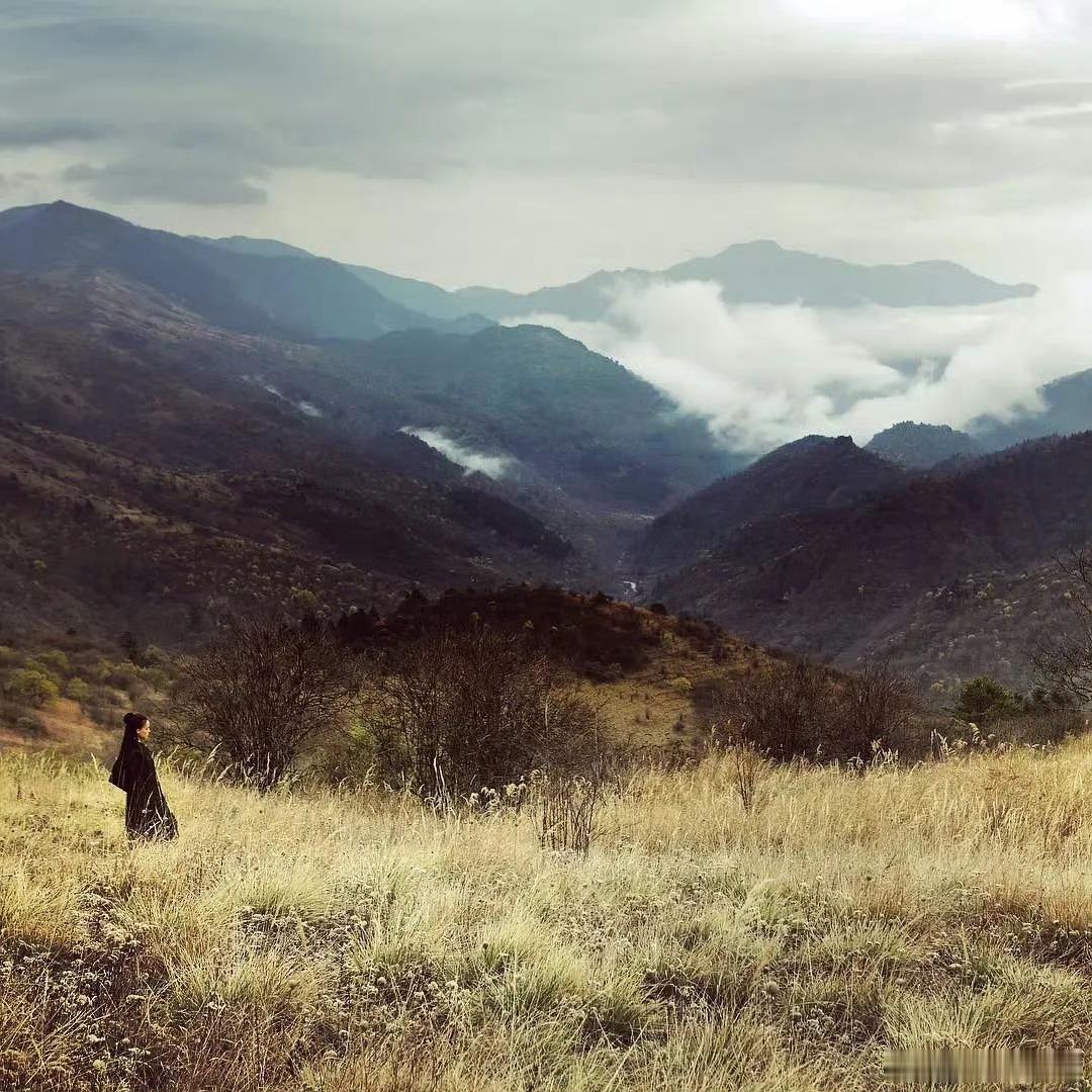 刺客聂隐娘 我的评分：21世纪最具影响力的华语电影【对观众极不友好的《刺客聂隐娘