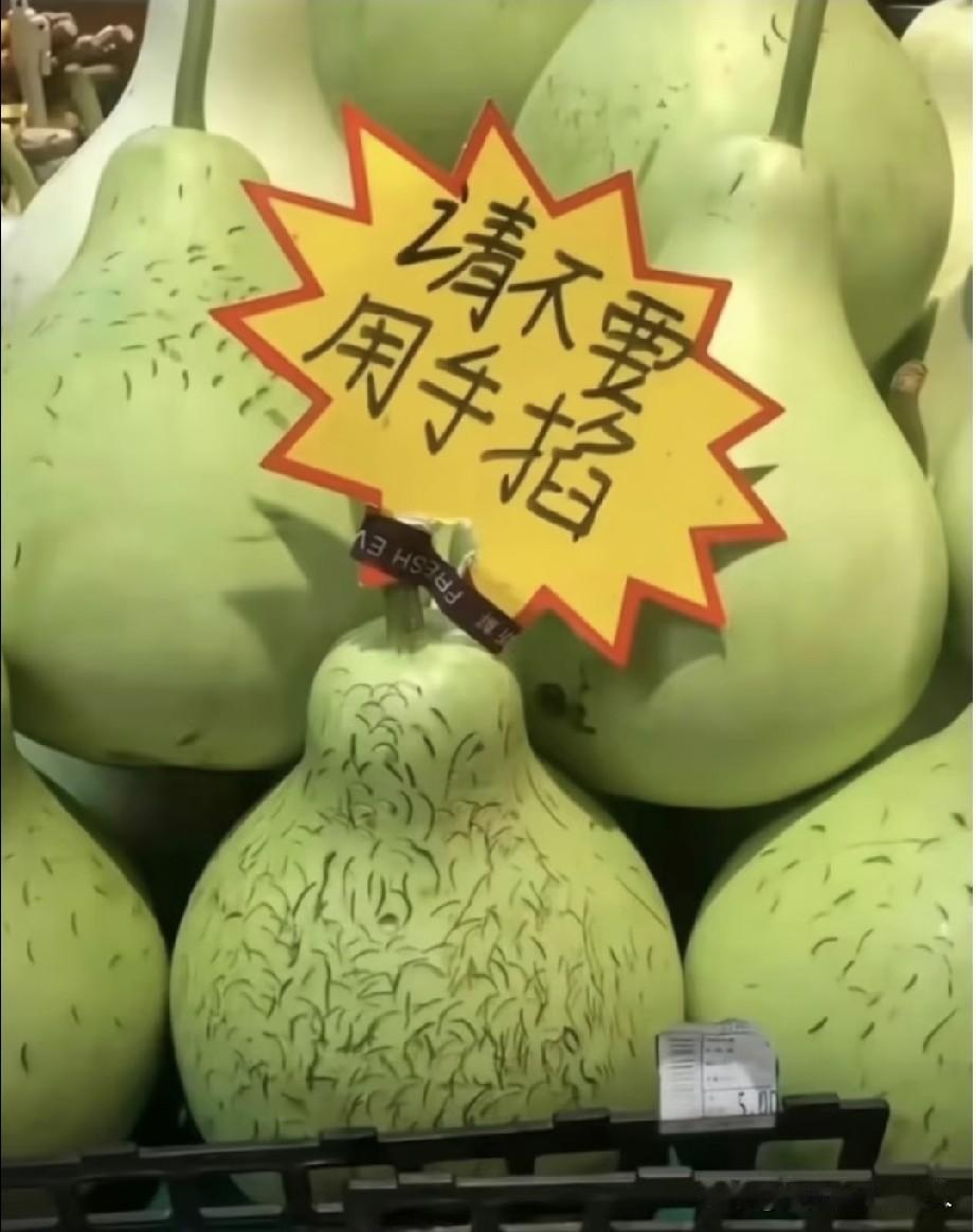 手欠真是可恨，完了，这几个只能打折处理