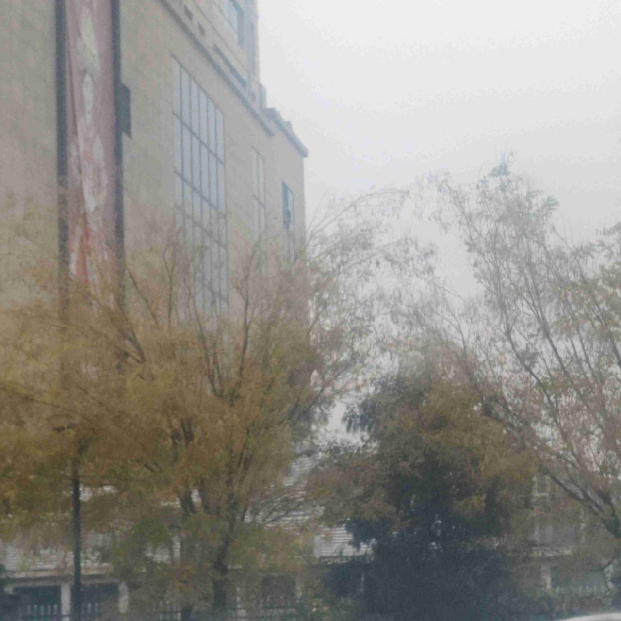 从昨天开始细雨连绵的，然后呢？说的是今天早上10点左右将会立冬，也不知道是不是心