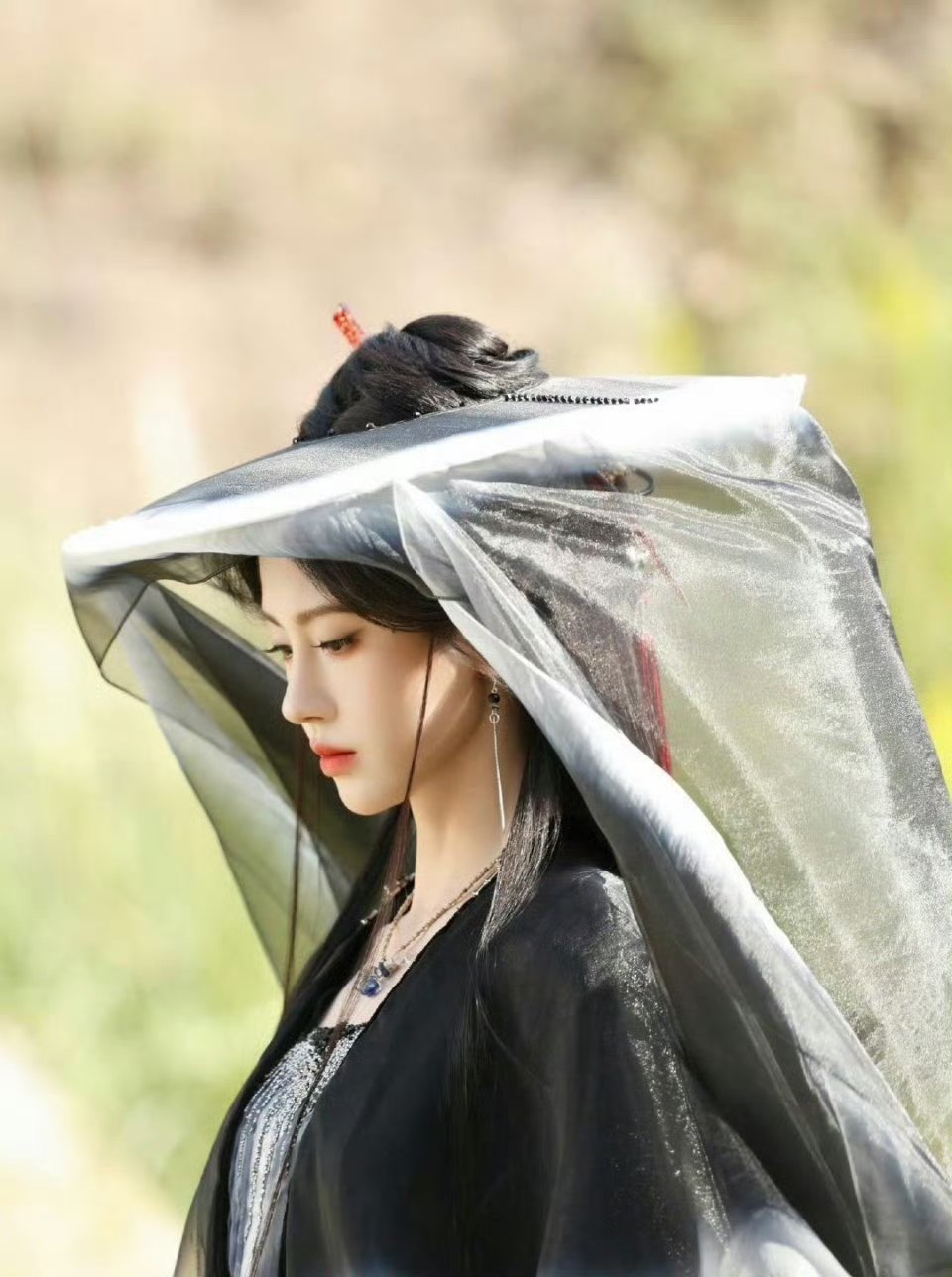 鞠婧祎张云龙烟花点燃大橘大利大橘大利，阿黛今年也要顺顺利利！！！ 