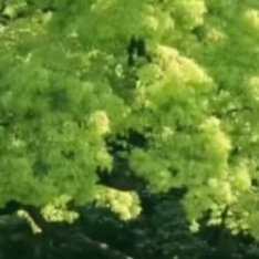 一些学校没教的快速让心情变好的tips1.不要把大脑里焦虑的声音当成必须服从的指