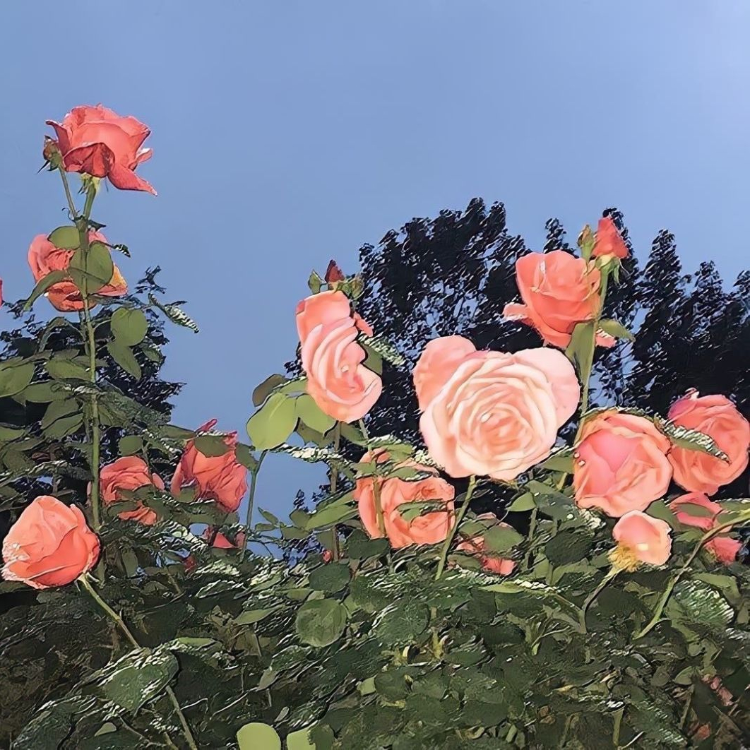 女孩子嘛，听听歌写写作业打打游戏，偶尔和姐妹出去拍点照，又何必在意一个男孩子到底