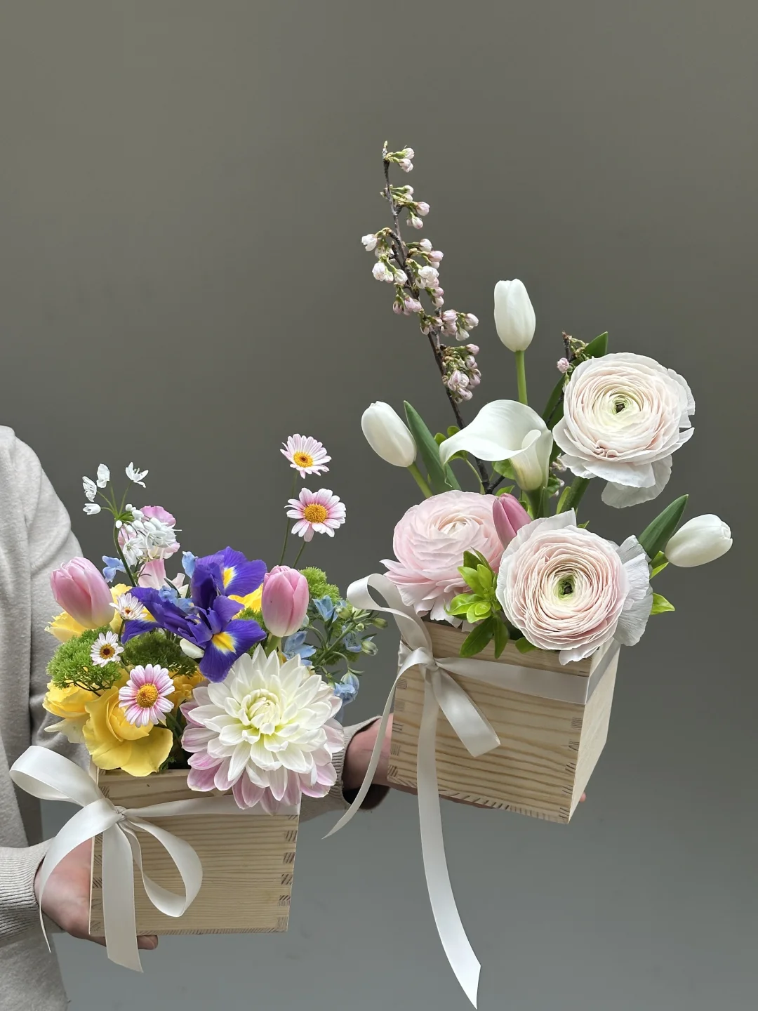 3.8花盒里的春天🌸🪻🌸🪻