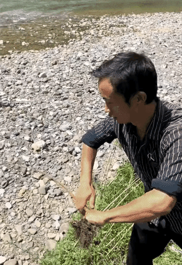 小女孩偷偷下河玩水，被爸爸当场抓包，直接安排“藤条炒肉”，看着架势爸爸火气十足。