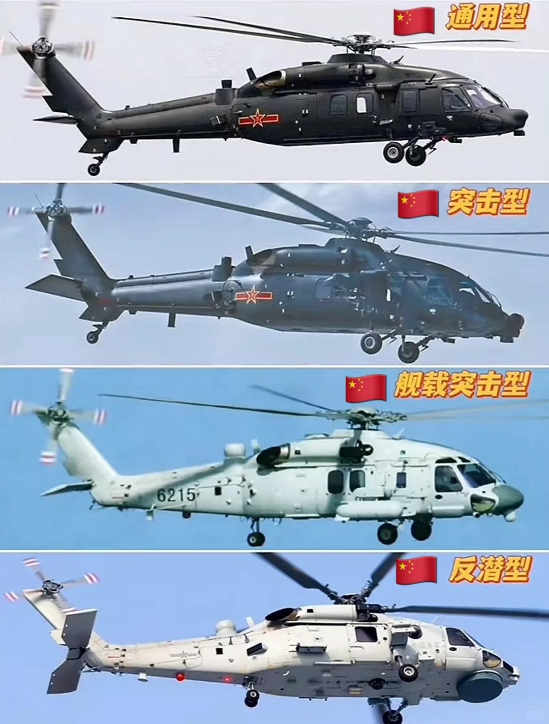 直-20四款型号对比图片！