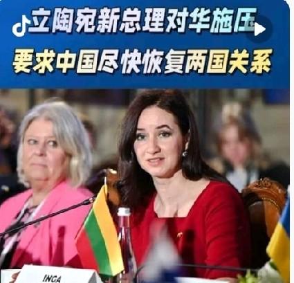 爱沙尼亚赚翻天，立陶宛失业率狂飙，欧盟小国自酿苦酒。
爱沙尼亚近几年一直守规矩，