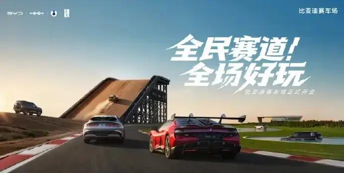 中国6大电池生产商：
1.宁德时代：中国，全球市占率37.9%
2.比亚迪：中国