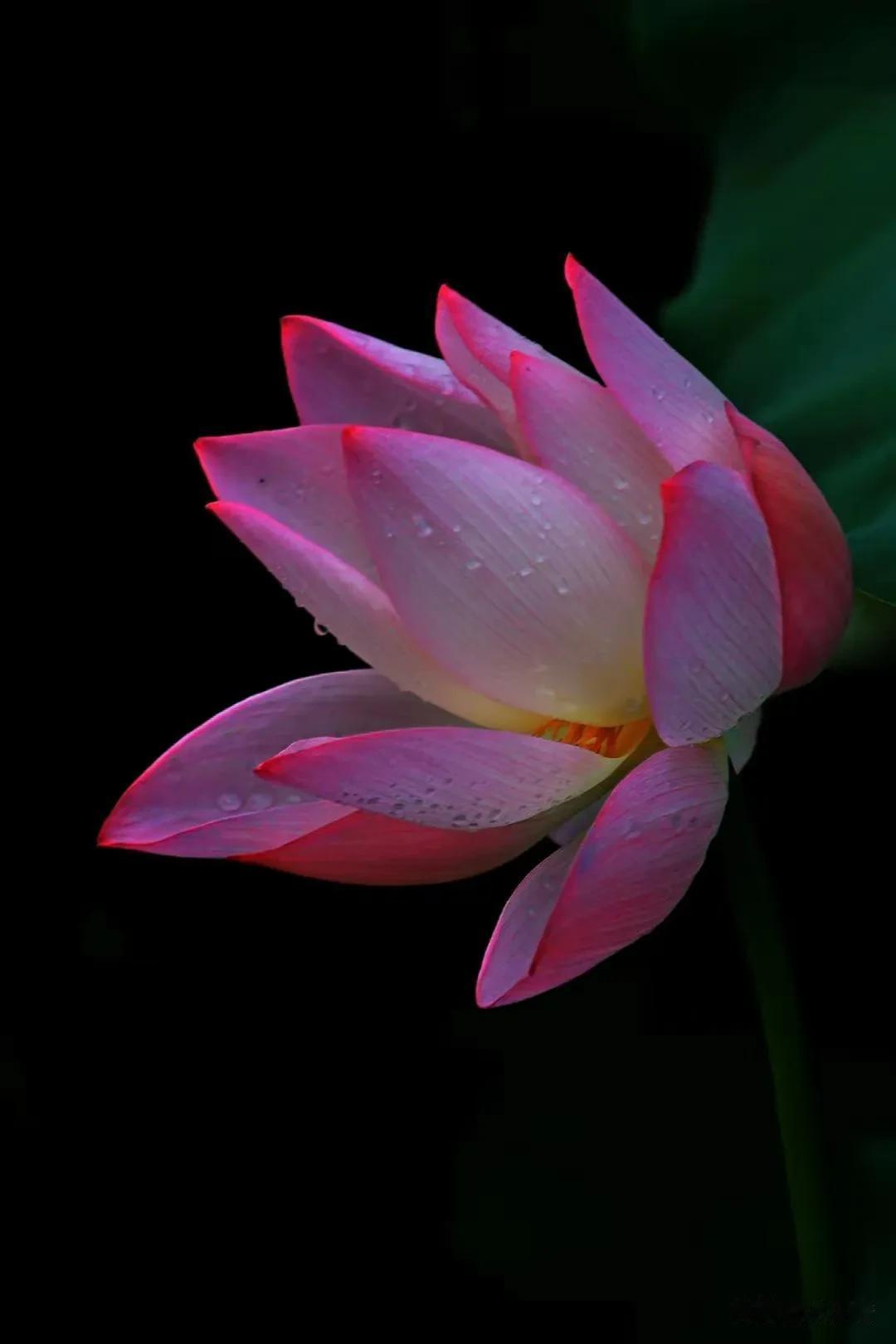 人间清醒：悦纳平凡，才是最高级的爱自己

年轻时，我们总以为自己无所不能。

周