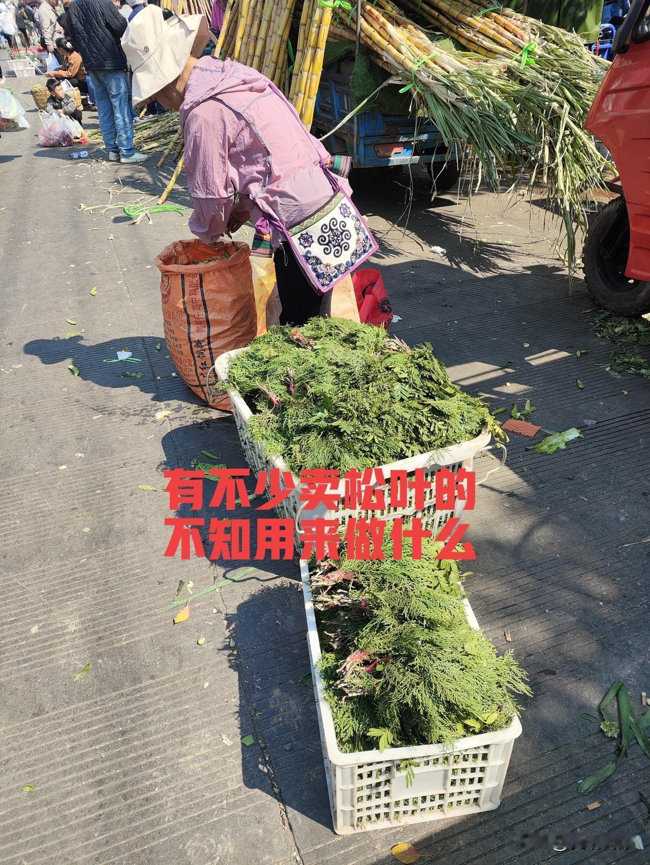 往常马路边很少有卖鱼的摊位，今天可是很多哦，毕竟年夜饭少不了一道鱼菜，弥勒卖的最