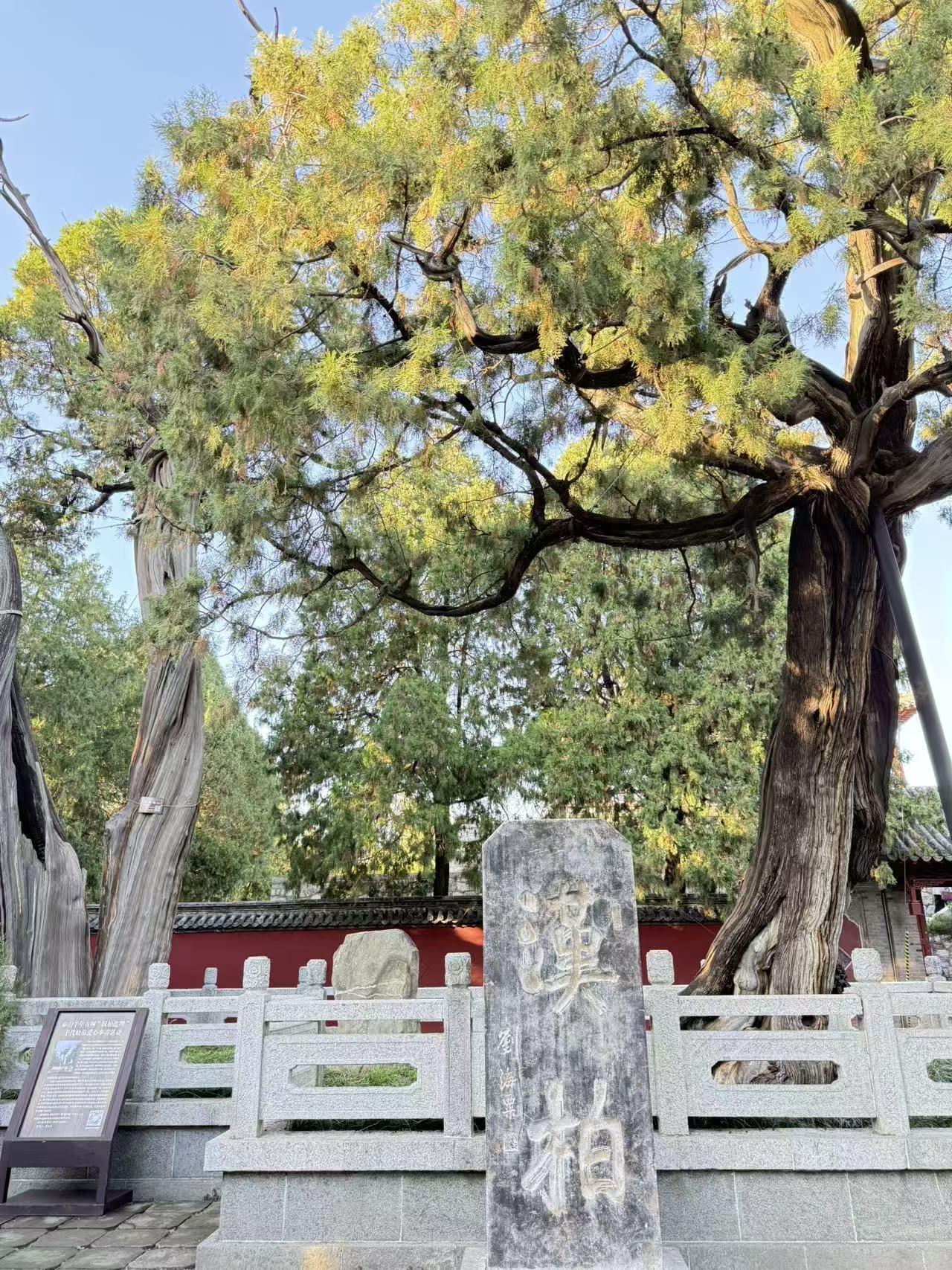 为什么这次调整我会要求大家先控制自己的情绪和行为，尽量先沉住气，就是本周调整有可