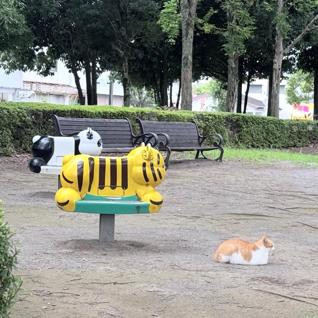 ど れ に 乗 ろ う か な っ と 