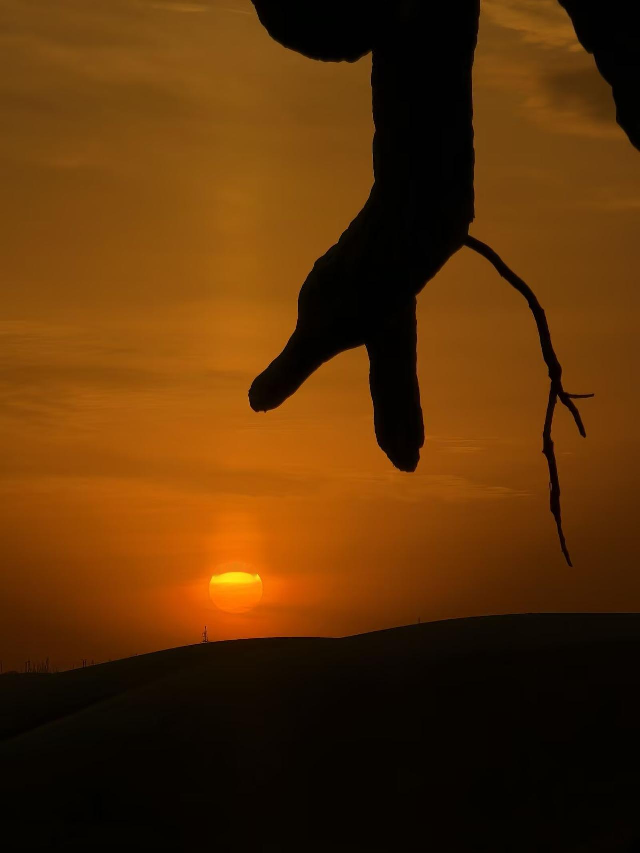 夕阳剪影 我喜欢落日 日落剪影 自然光影捕捉 治愈系风景分享