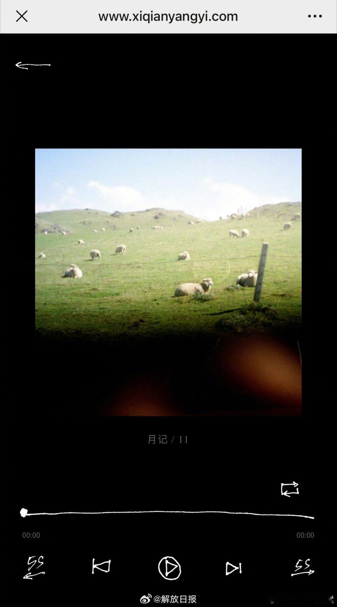易烊千玺声音的影子闭环了 哇哇哇~要不说还得是易烊千玺呢！！《声音的影子》就这么