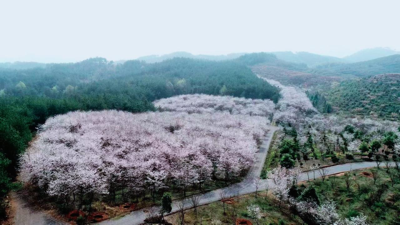 适时拐弯
 
人生之路，并非康庄大道，而是充满了曲折与未知，恰似蜿蜒的山间小径，