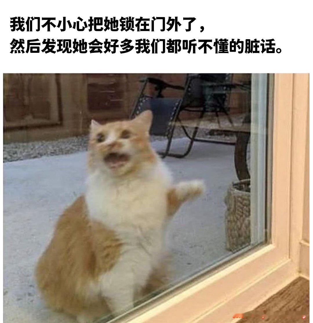 从哪学的这么脏？ 