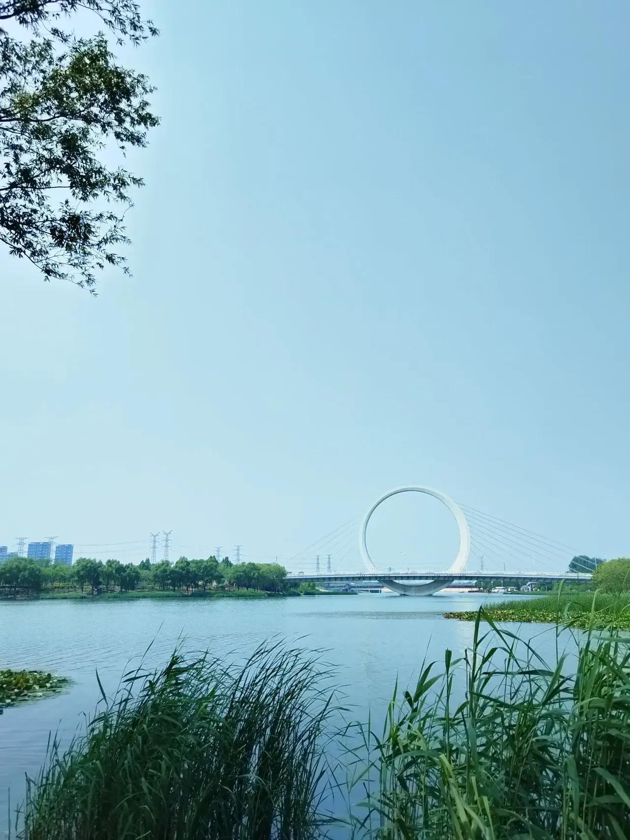 这舔狗我不当了！  

今天早晨，我果断取关了一个人。  

他的流量挺不错，我