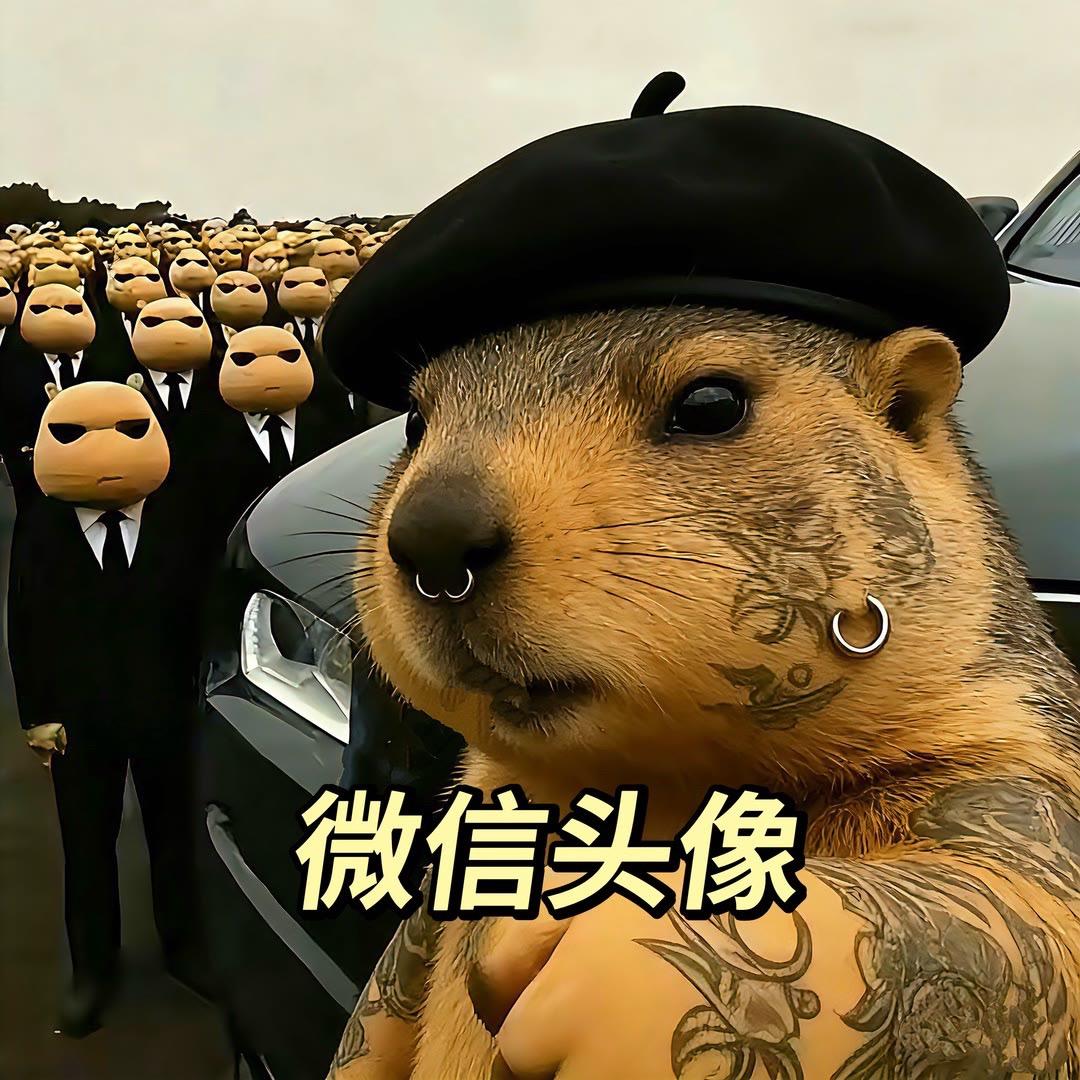 高清头像 微信头像 优质头像